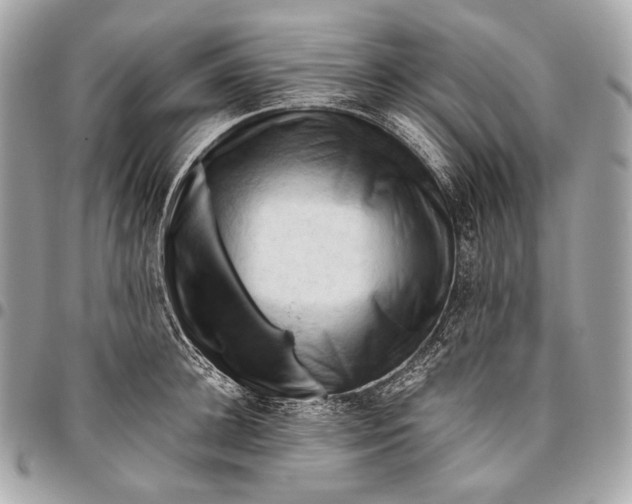 X0000096440948200802071745