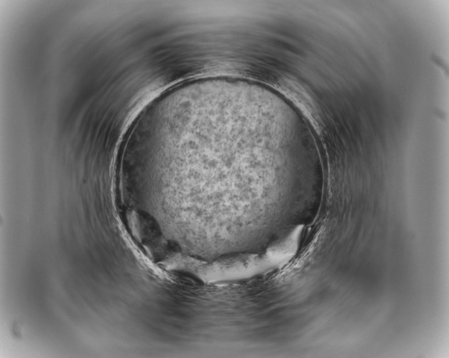 X0000096440949200802071745