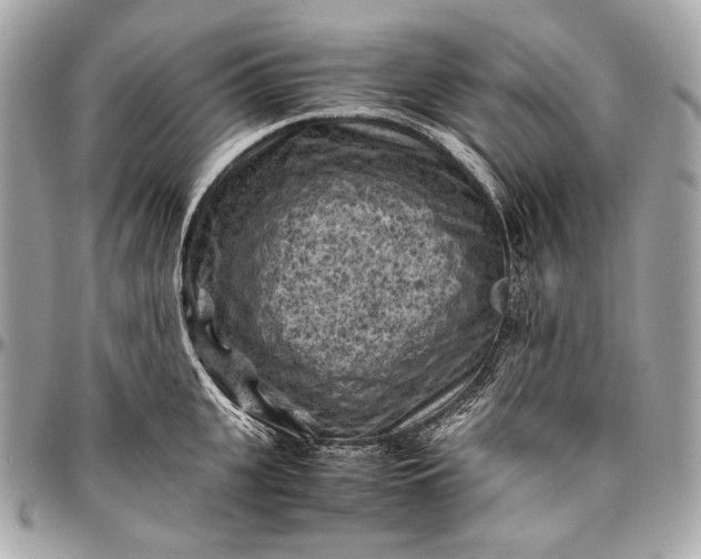 X0000096440951200802071745