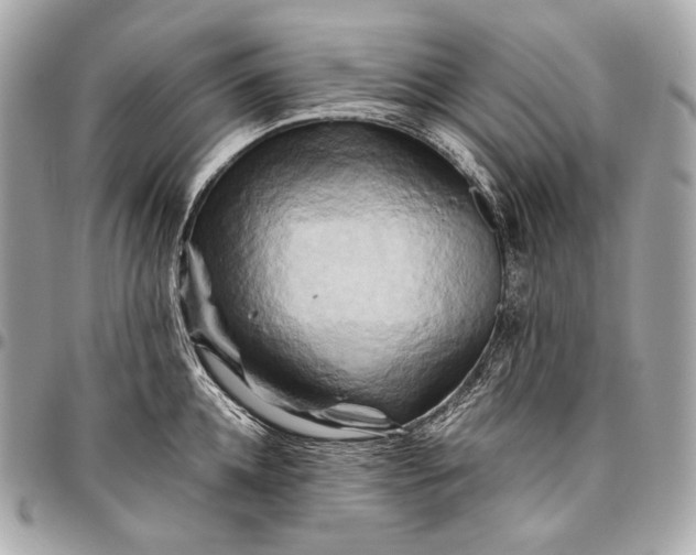 X0000096440952200802071745