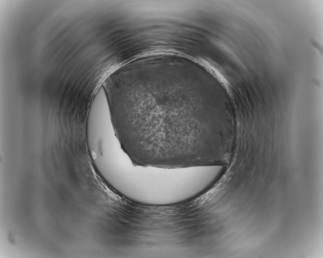 X0000096440953200802071745