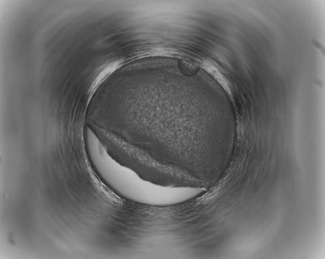 X0000096440954200802071745