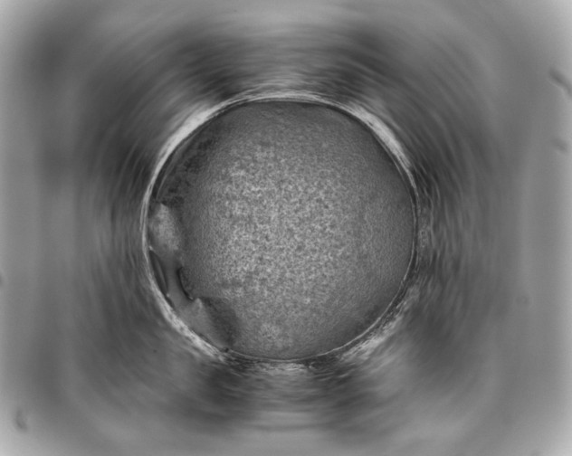 X0000096440957200802071745