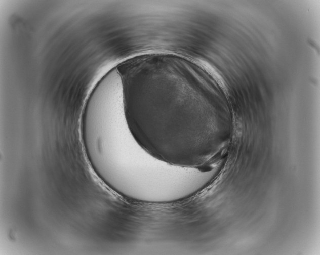 X0000096440958200802071745