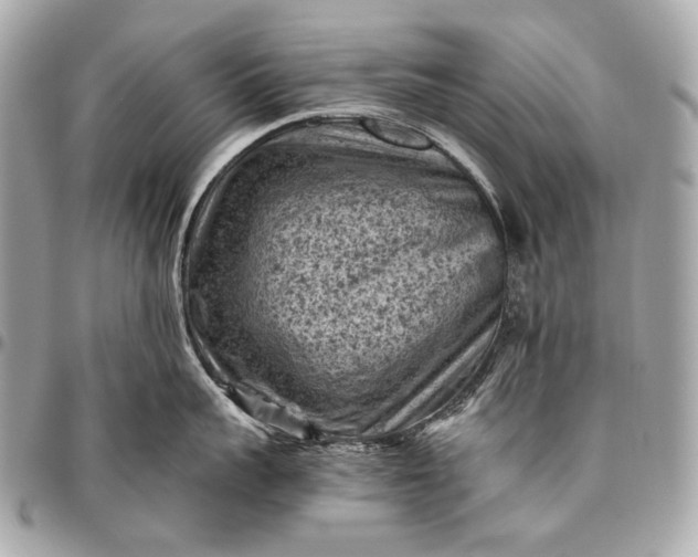 X0000096440959200802071745