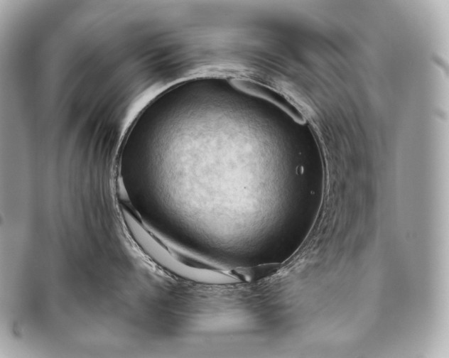 X0000096440960200802071745