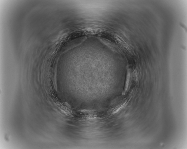 X0000096440961200802071744