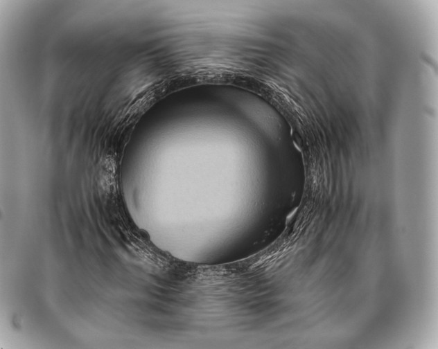 X0000096440964200802071744