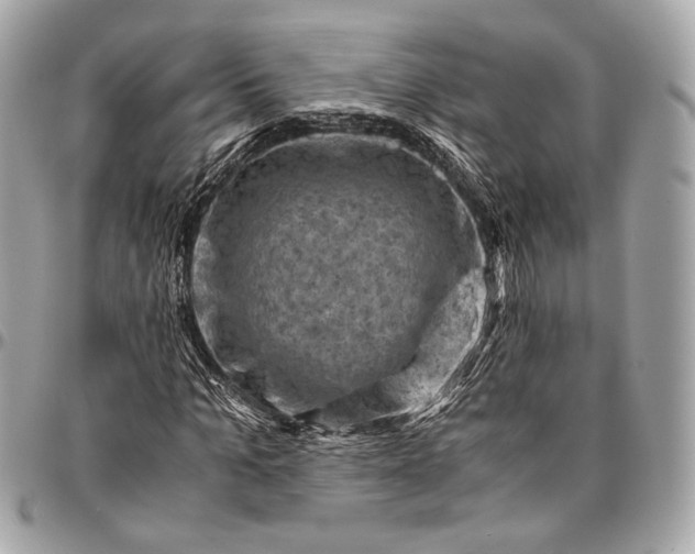 X0000096440965200802071744