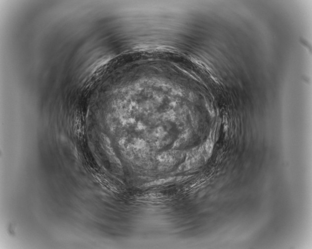 X0000096440966200802071744