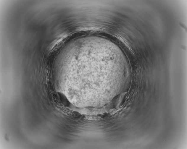 X0000096440967200802071744