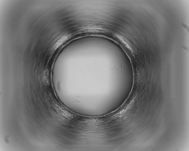 X0000096440970200802071744