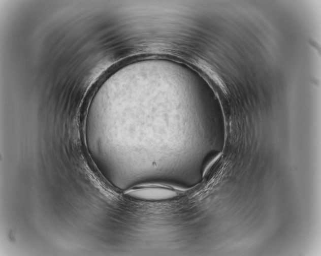 X0000096440972200802071744