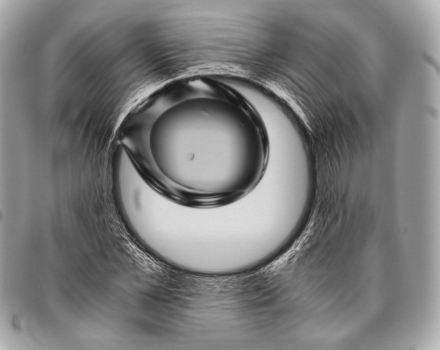 X0000096440973200802071744