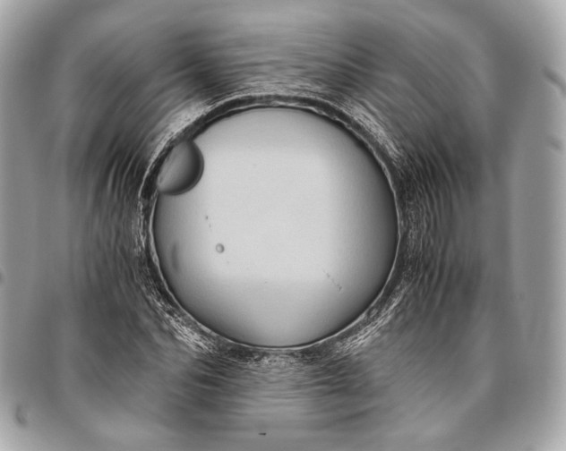 X0000096440974200802071744