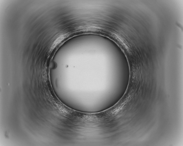 X0000096440978200802071744