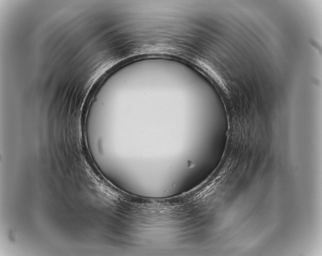 X0000096440980200802071744