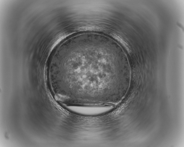 X0000096440983200802071744