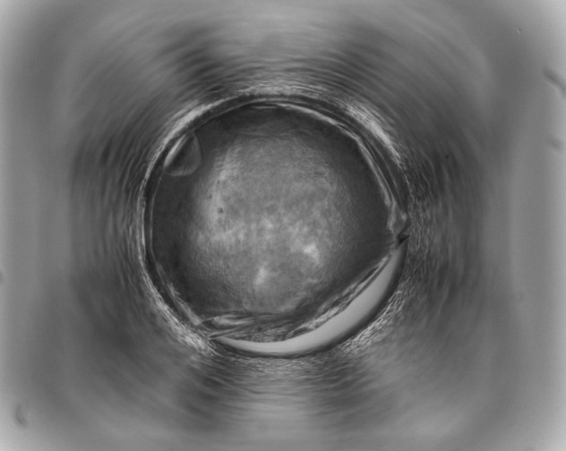 X0000096440984200802071744