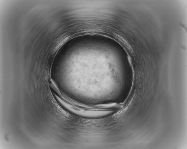 X0000096440985200802071744