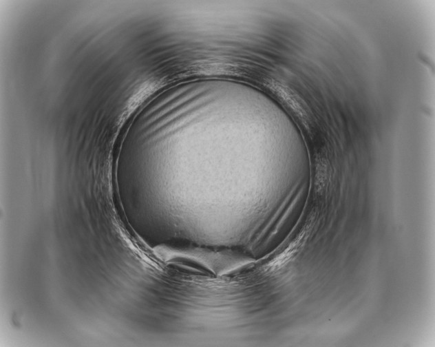 X0000096440986200802071744