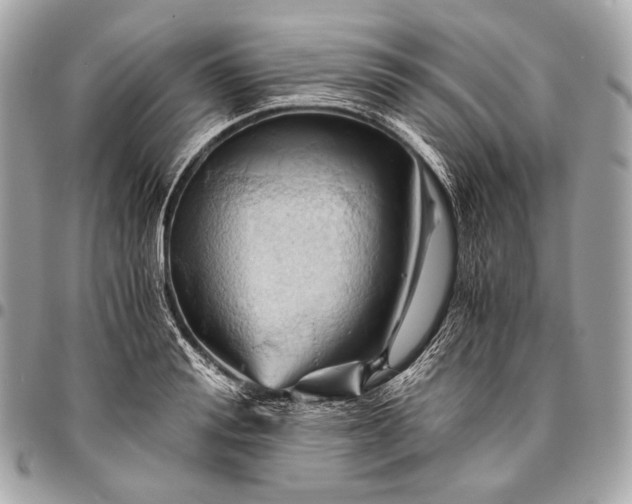 X0000096440988200802071744