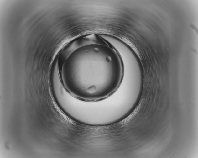 X0000096440989200802071744