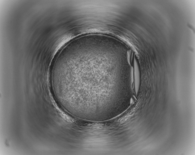 X0000096440991200802071744