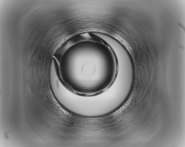 X0000096440993200802071744