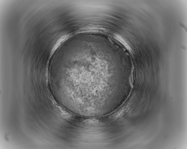 X0000096440994200802071744