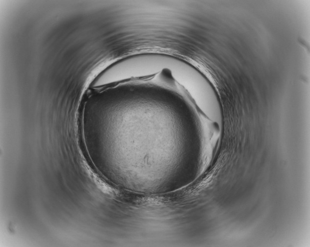 X0000096440995200802071744