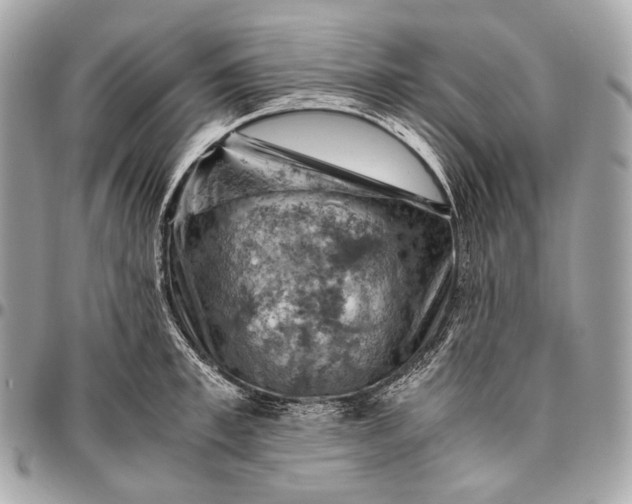 X0000096440997200802071744