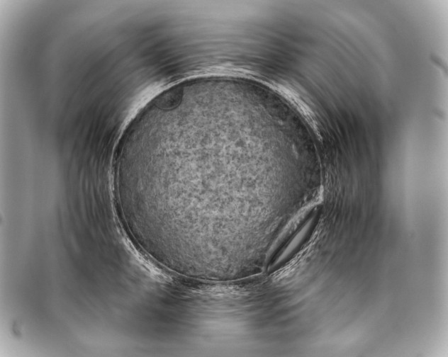 X0000096440998200802071744