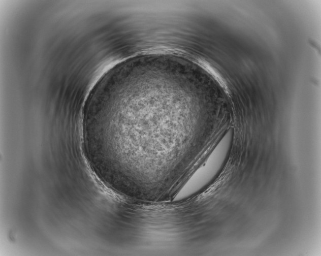 X0000096441000200802071744