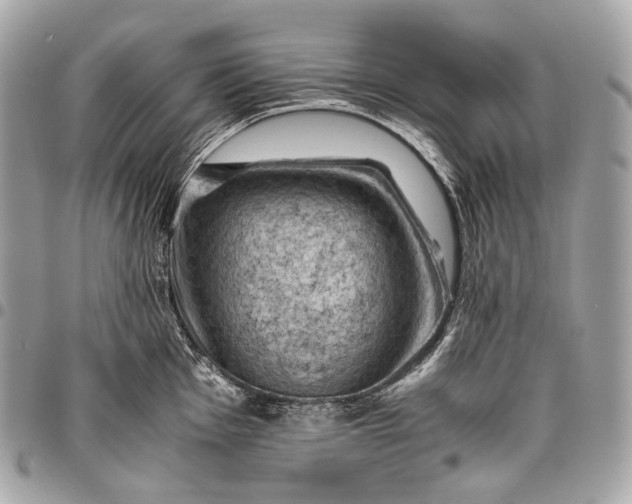 X0000096441001200802071744