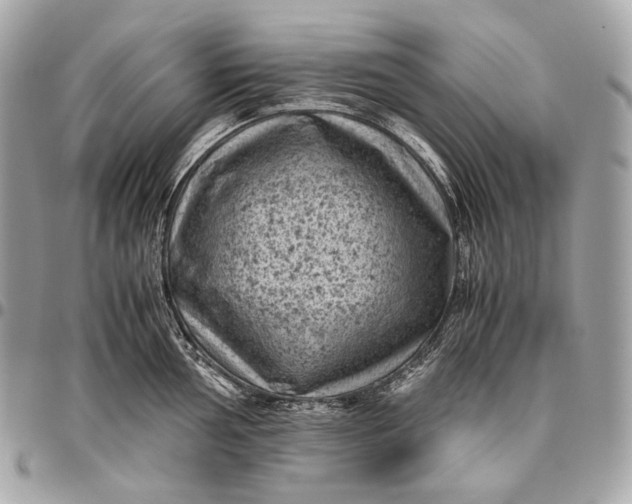 X0000096441002200802071744