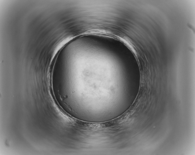 X0000096441003200802071744