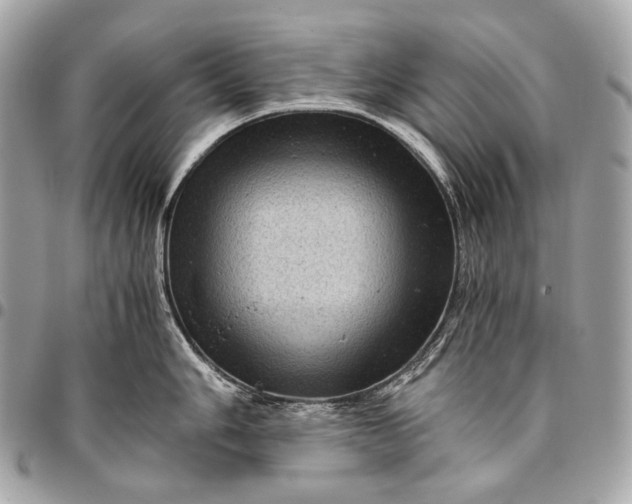 X0000096441006200802071744