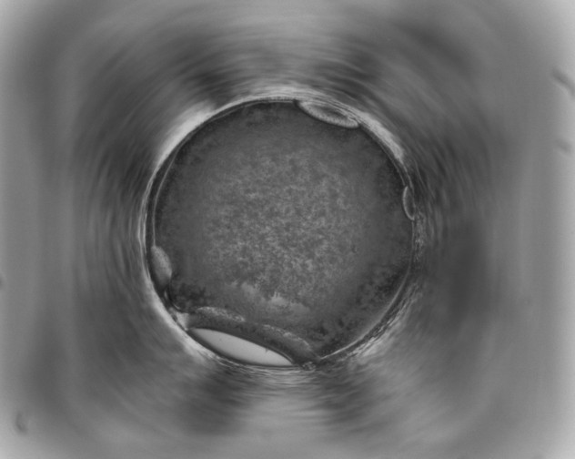 X0000096441007200802071744