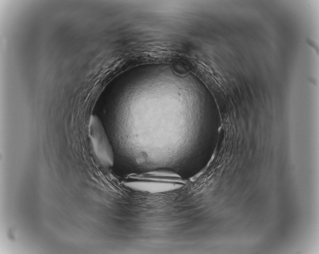 X0000096441009200802071743