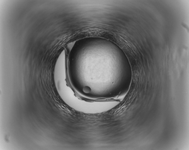 X0000096441010200802071743