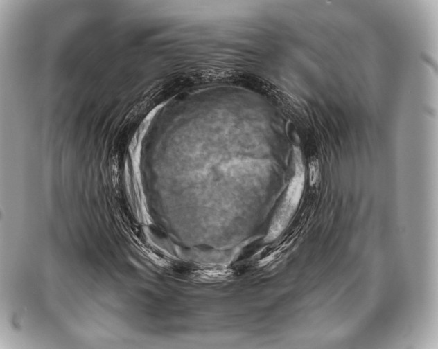 X0000096441011200802071743