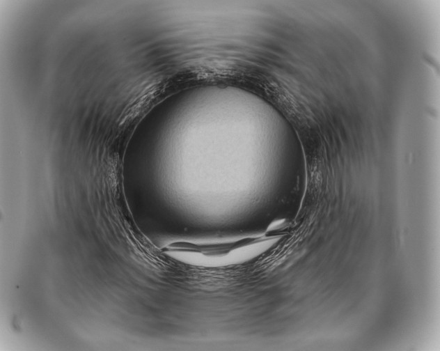 X0000096441012200802071743