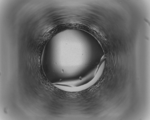 X0000096441013200802071743