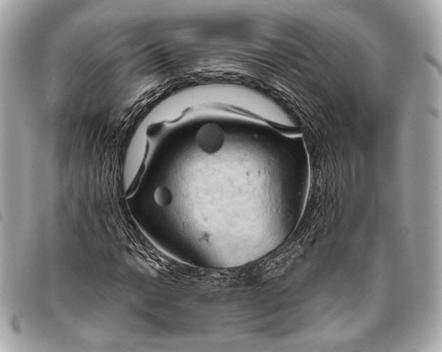 X0000096441014200802071743