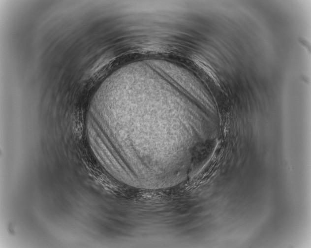 X0000096441015200802071743