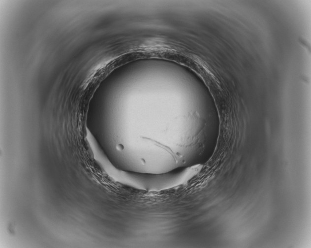 X0000096441016200802071743