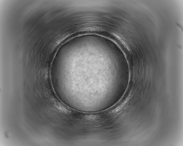 X0000096441017200802071743