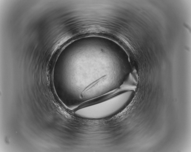 X0000096441018200802071743