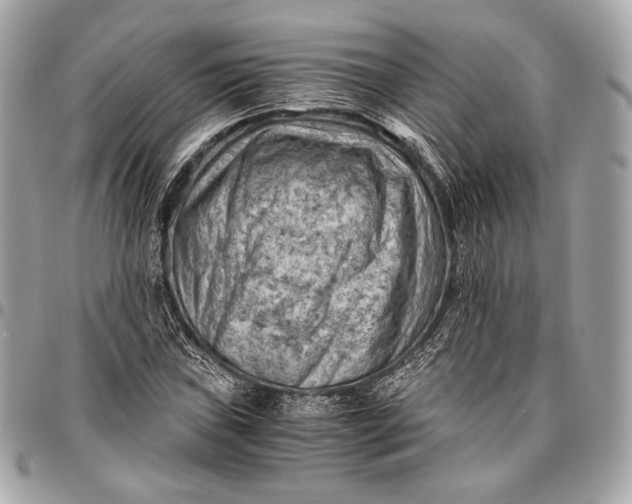 X0000096441019200802071743